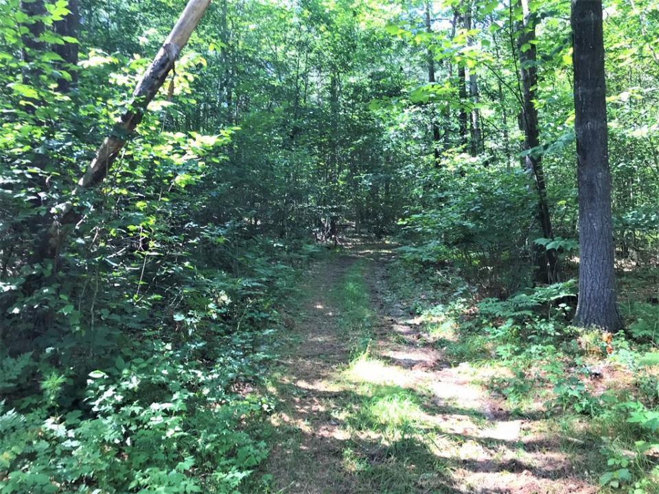 Private road trough property