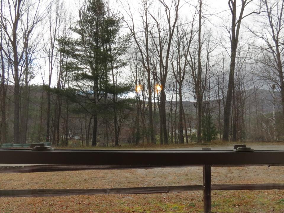 View from Living Room