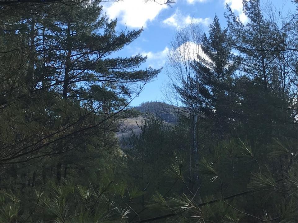 Views of Hamlin Mountain