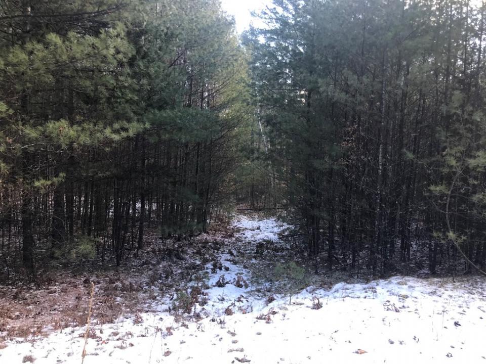 Additional Trails on the property