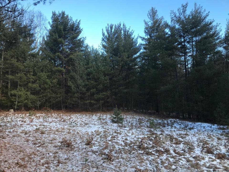 Proposed building site