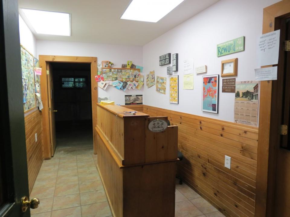 Photo 4