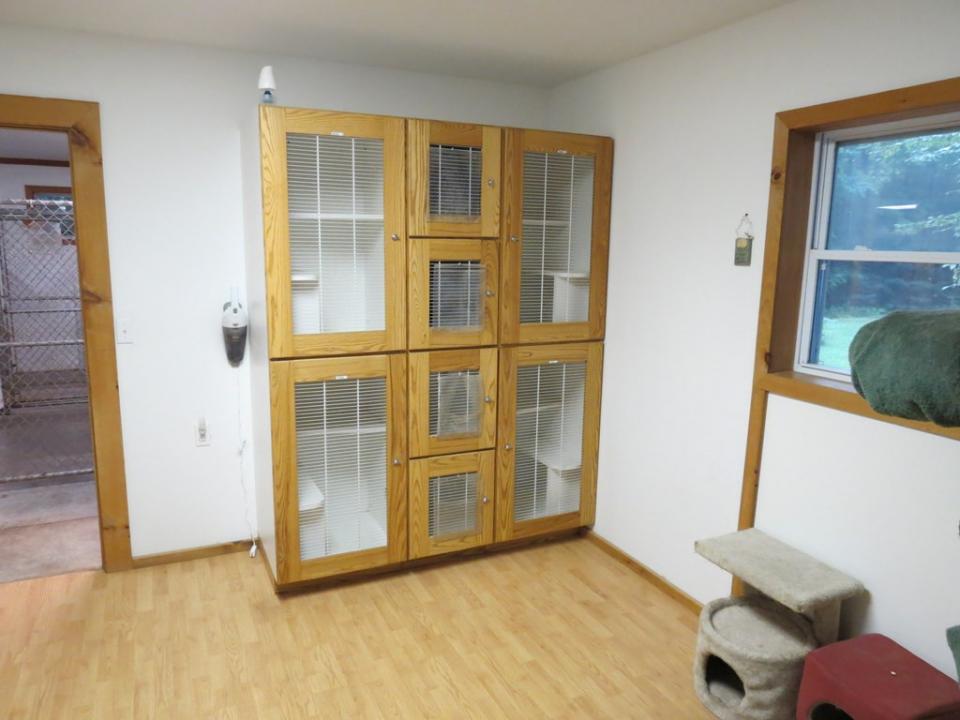 Photo 8