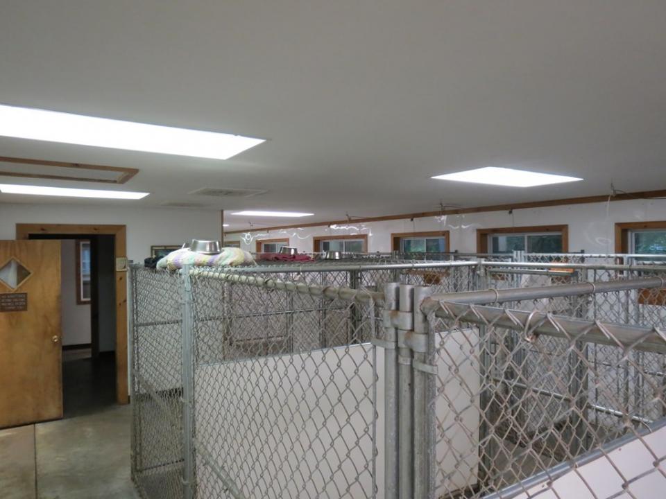 Photo 9