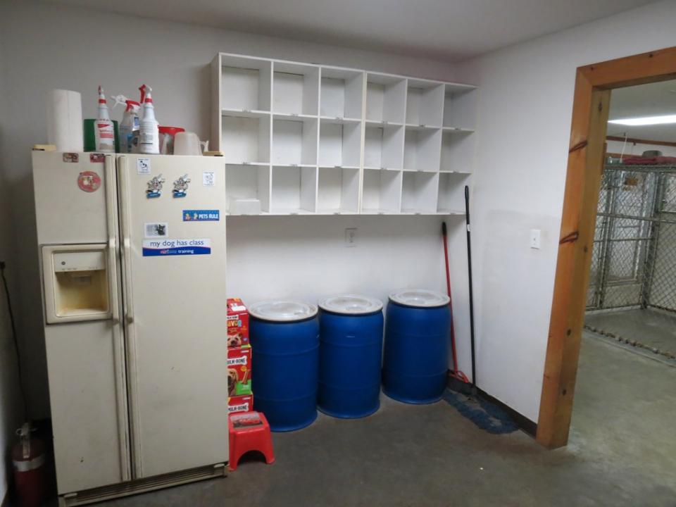 Photo 11