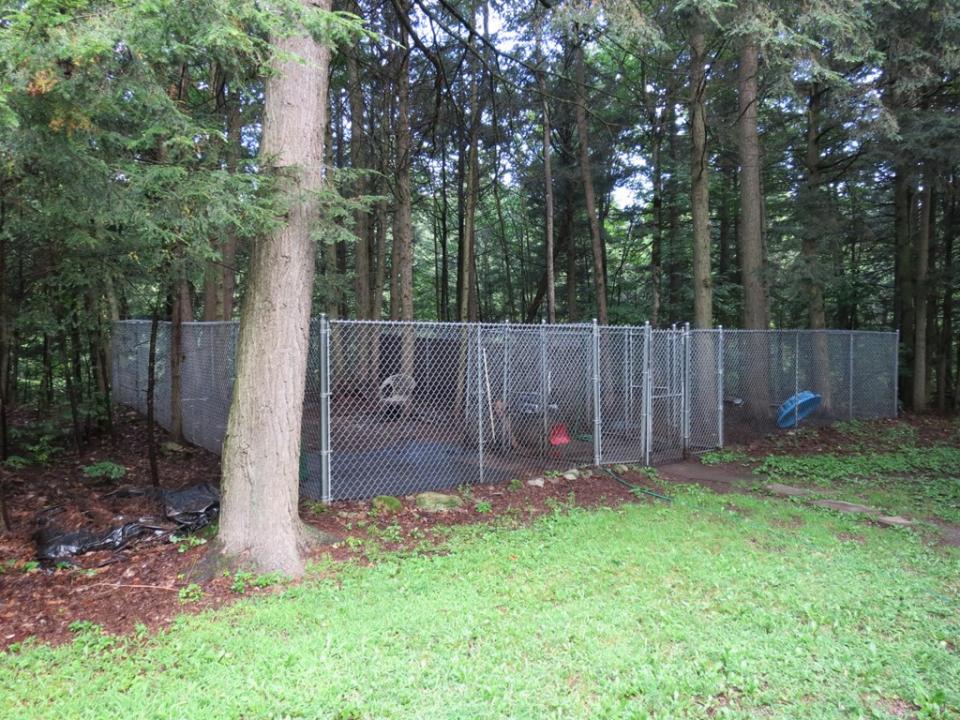 Photo 19