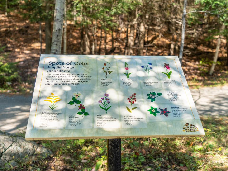 High Falls Gorge 2025-19