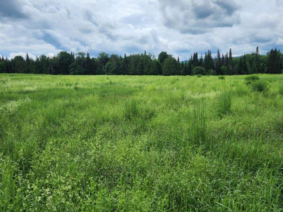 Baker Meadow Baker Meadow