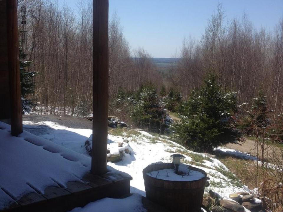 Photo 5