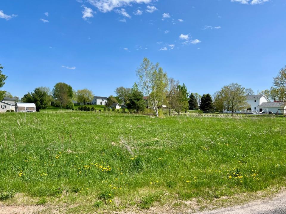Summer View