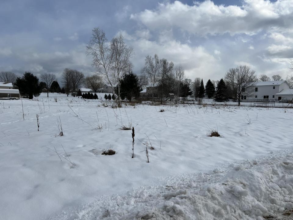 Winter View