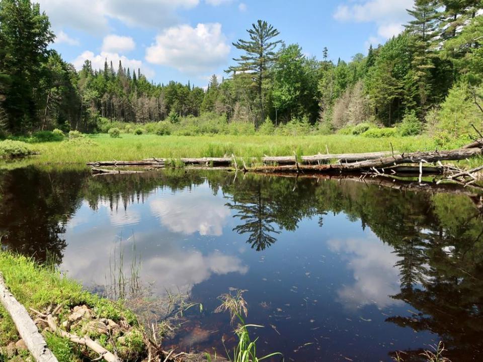 small pond in front of camp