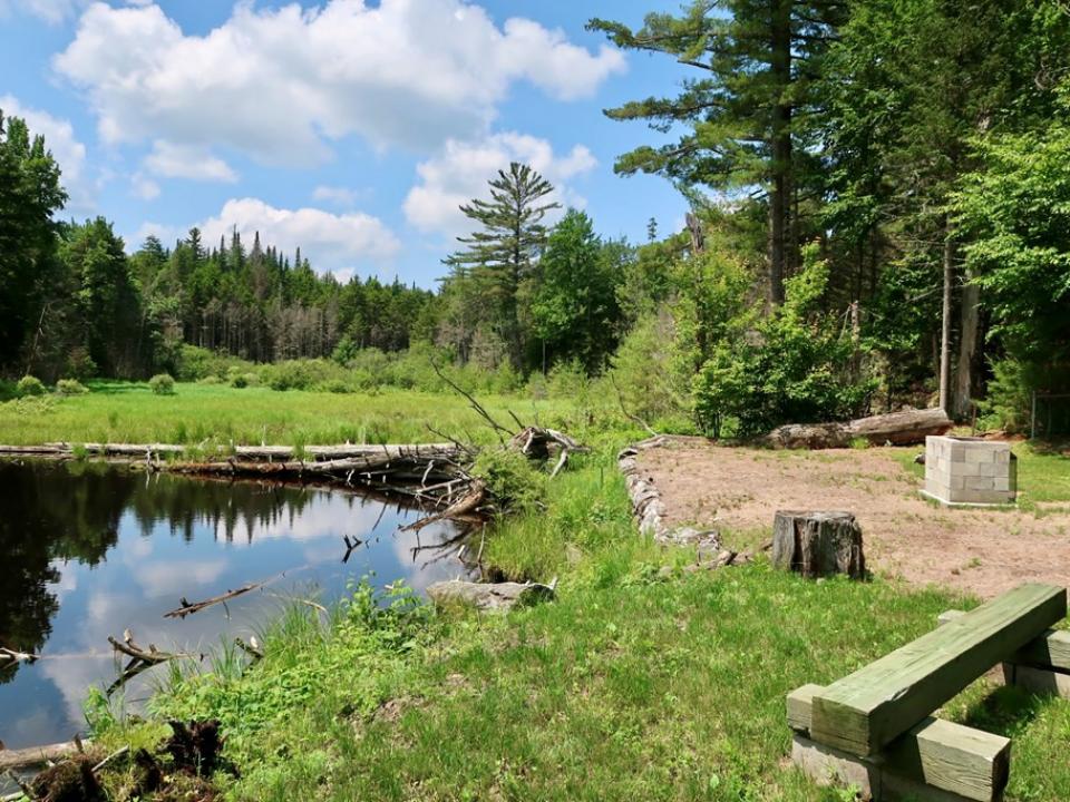 small pond