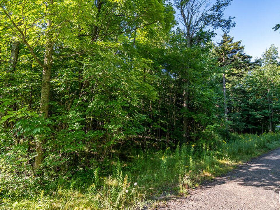 Lot18OnMtPisgahParkWay_Lot_Right