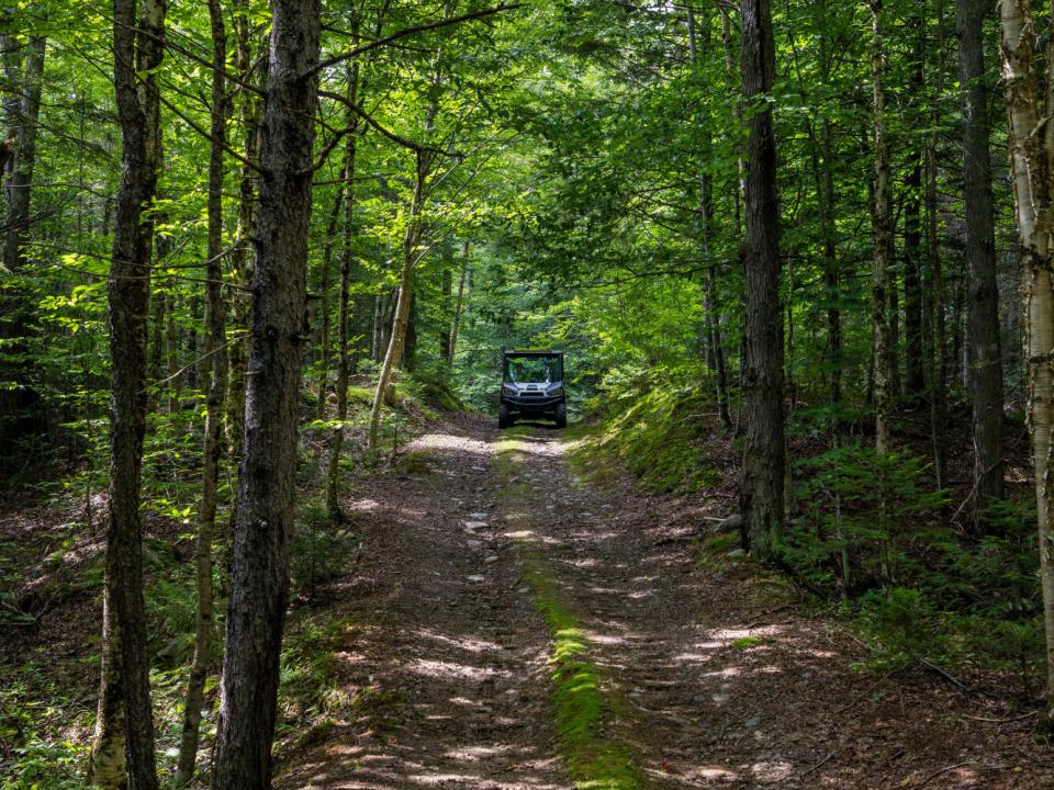 Partridge Park Preserve August 2023-5451