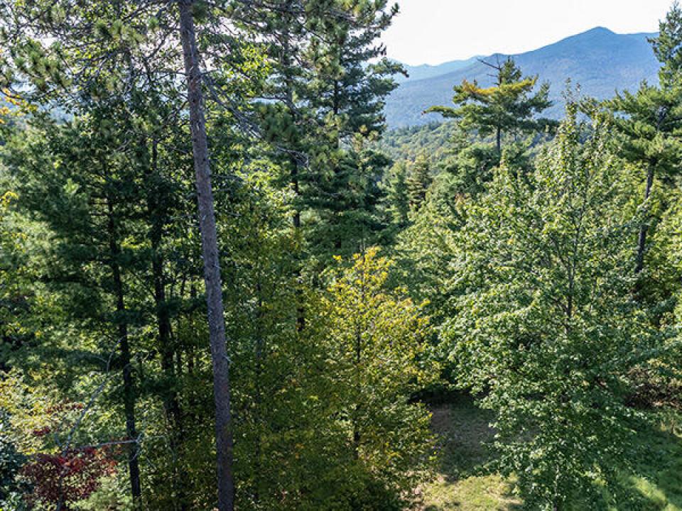 LotOnStylesBrookInKeene_R_A_Lot_Trees_Mo LotOnStylesBrookInKeene_R_A_Lot_Trees_Mo