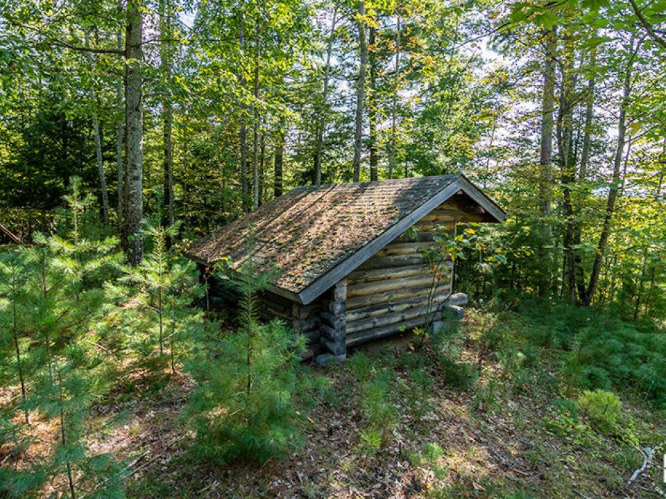 LotOnStylesBrookInKeene_R_LeanTo_Back