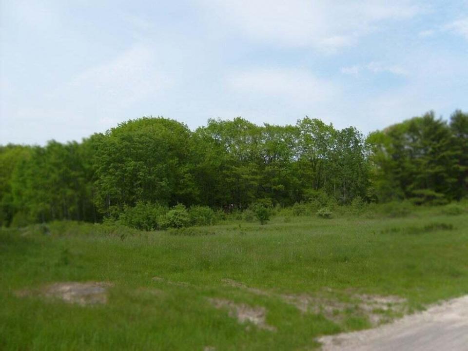 Meadow1
