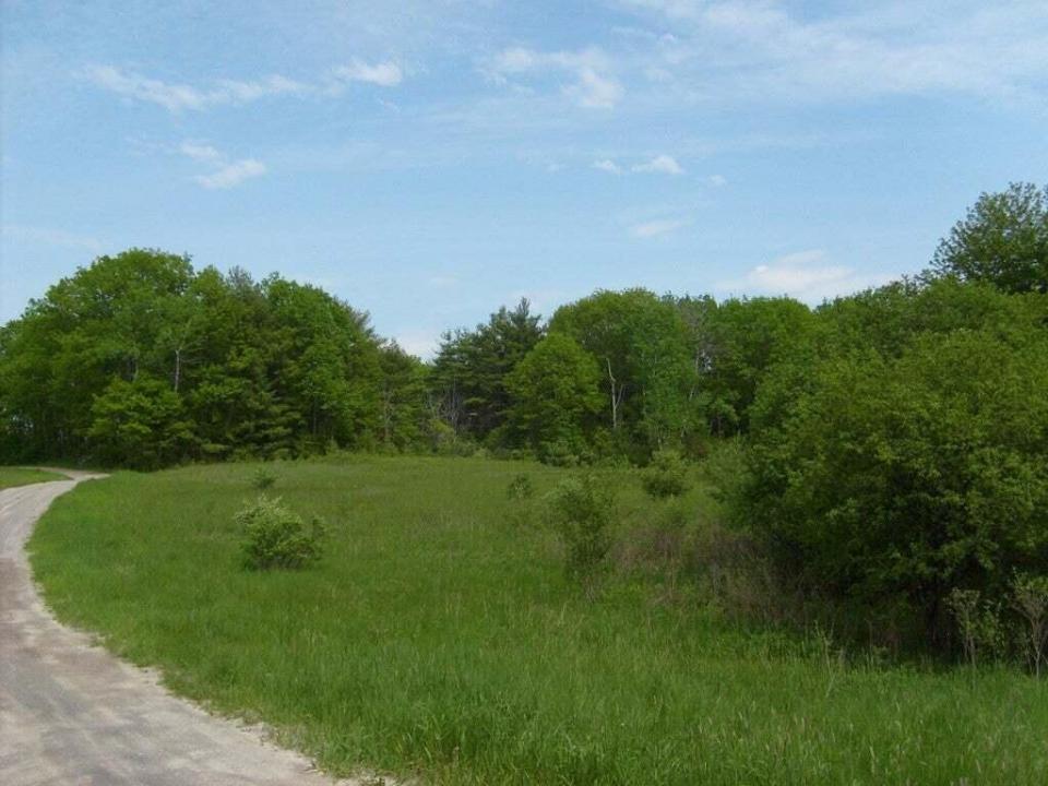 Meadow3