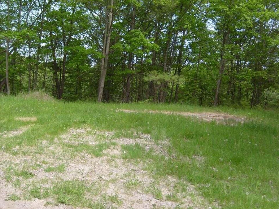 Meadow5