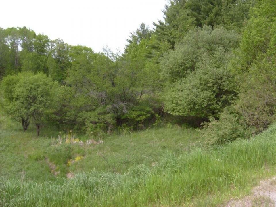 Pasture