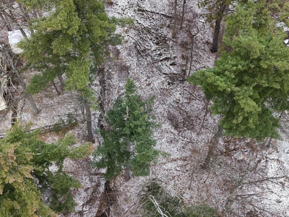 DJI_20231207130252_0015_D