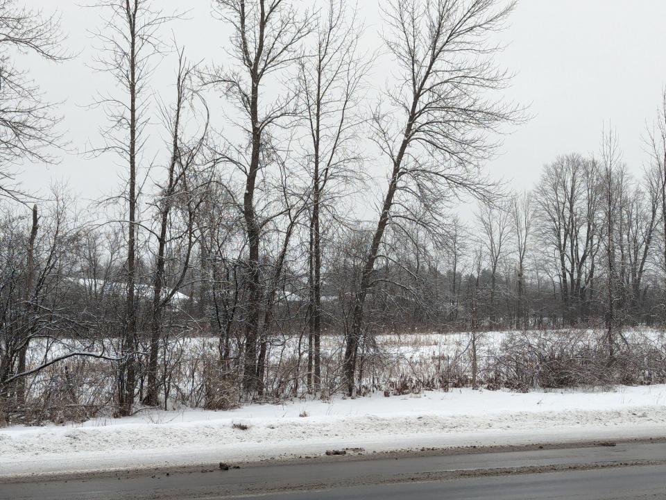 PXL_20240124_134441074