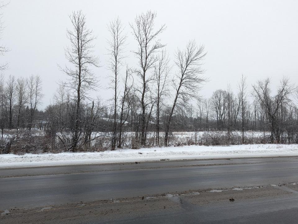 PXL_20240124_134448707