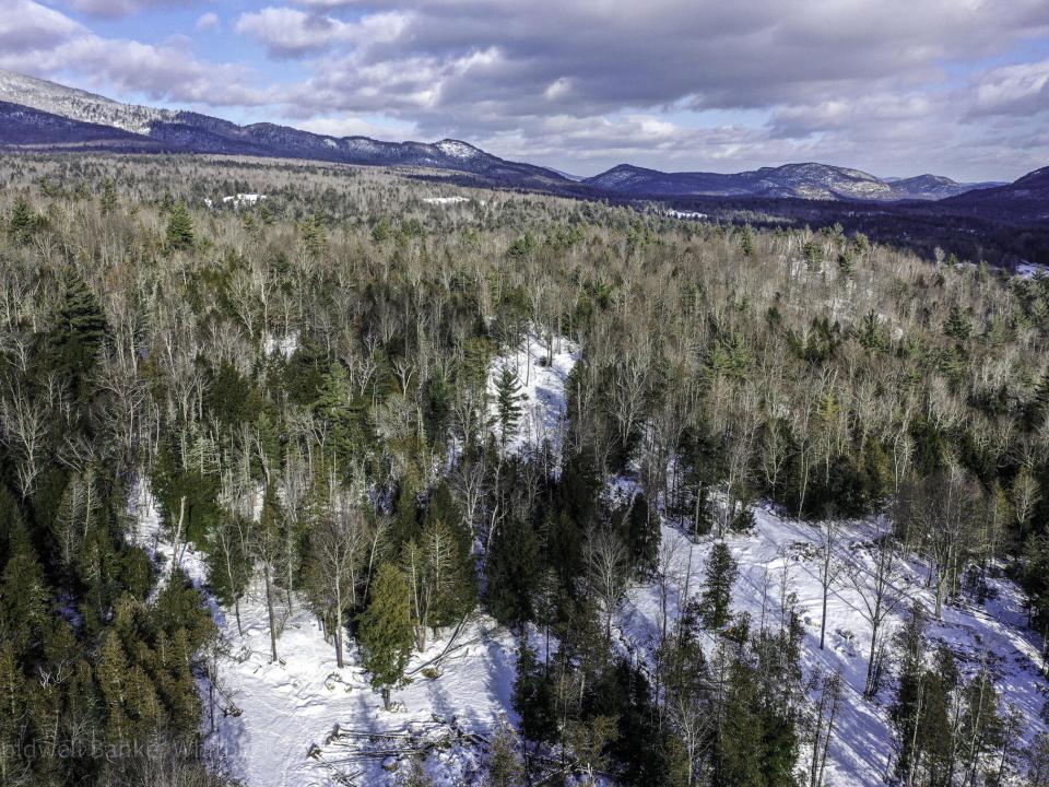 DJI_0179