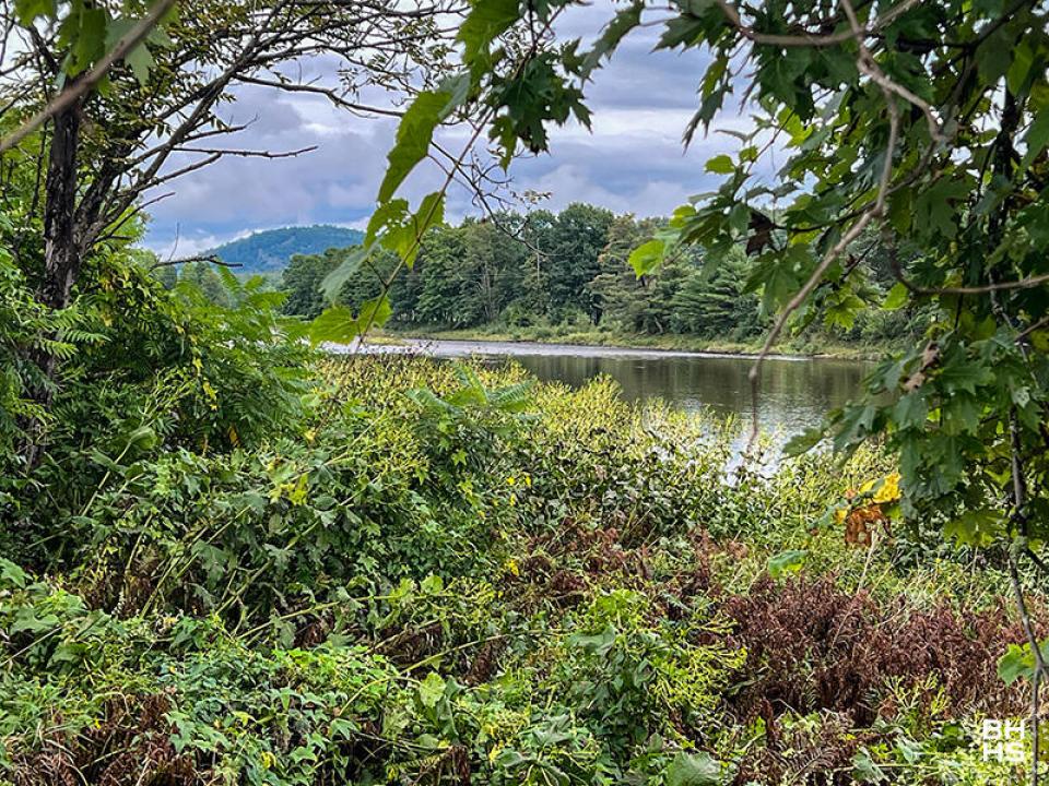AusableKingdomHome_Summer_AusableRiver_T