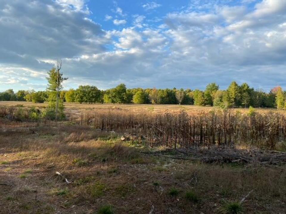 image6c (6)