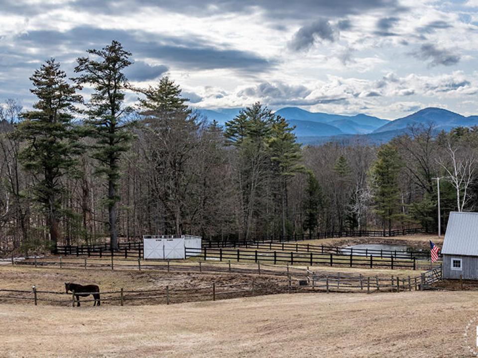 WestportFarmOnHaldsRoad_Barn_Horse_View