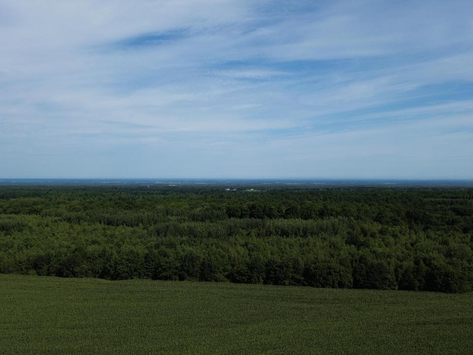 DJI_0113