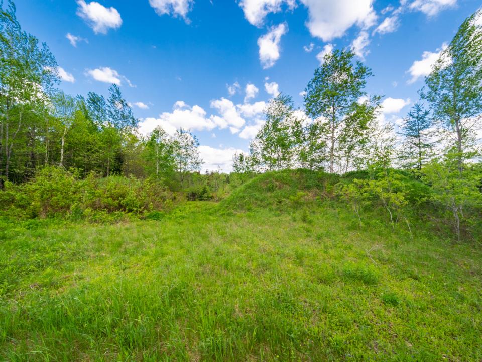 4525 Cascade Rd (15 of 22)