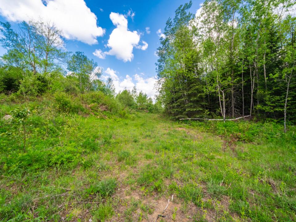 4525 Cascade Rd (14 of 22)