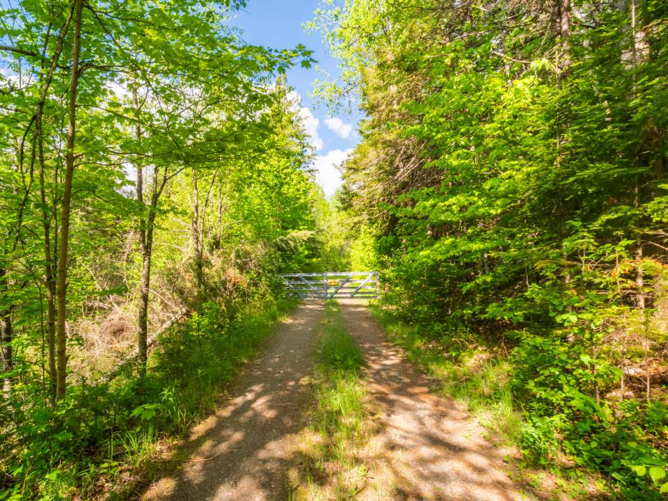 4525 Cascade Rd (7 of 22)