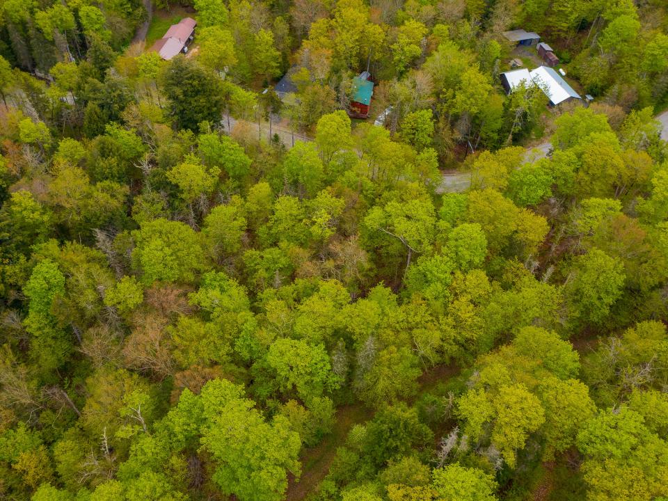 Mattison Family Trust-6