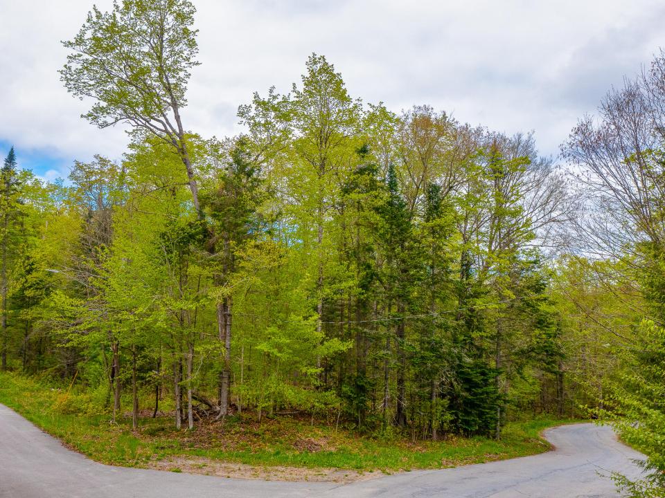 Mattison Family Trust-15