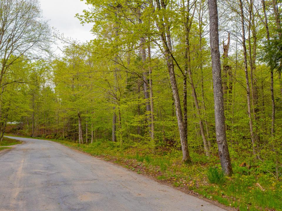 Mattison Family Trust-17