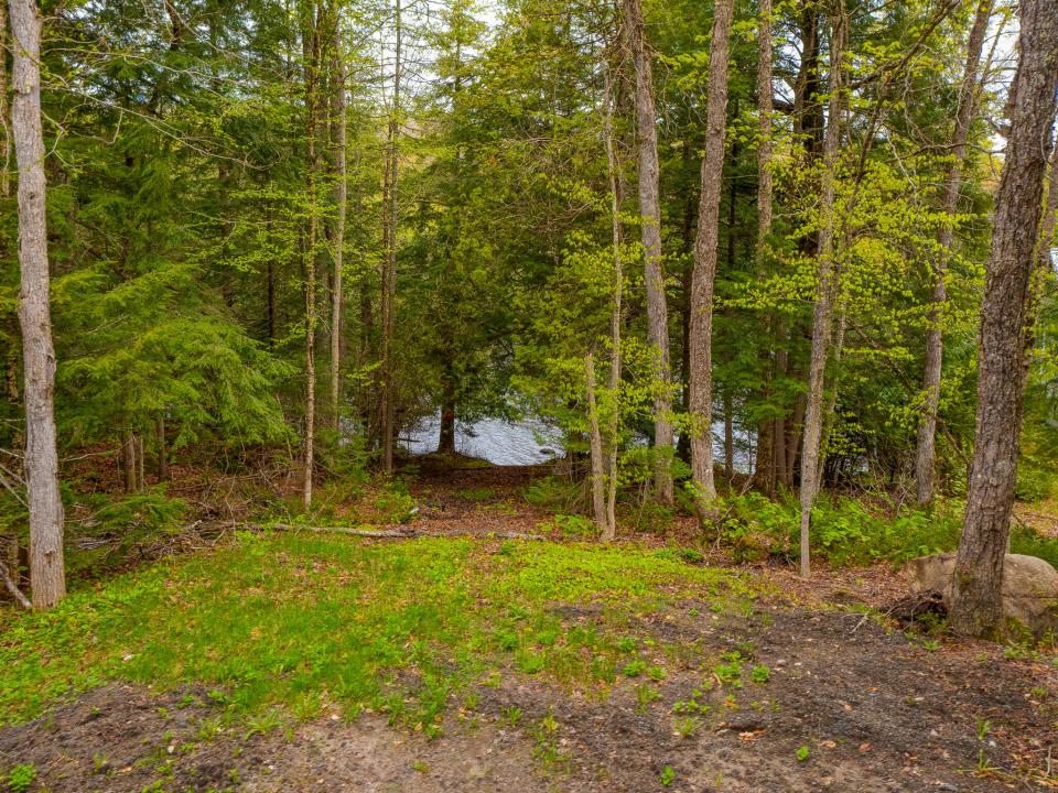 Mattison Family Trust-19