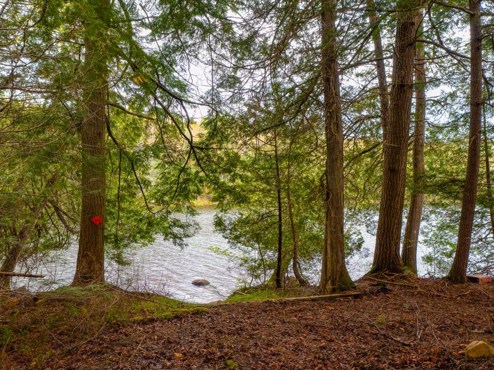 Mattison Family Trust-20