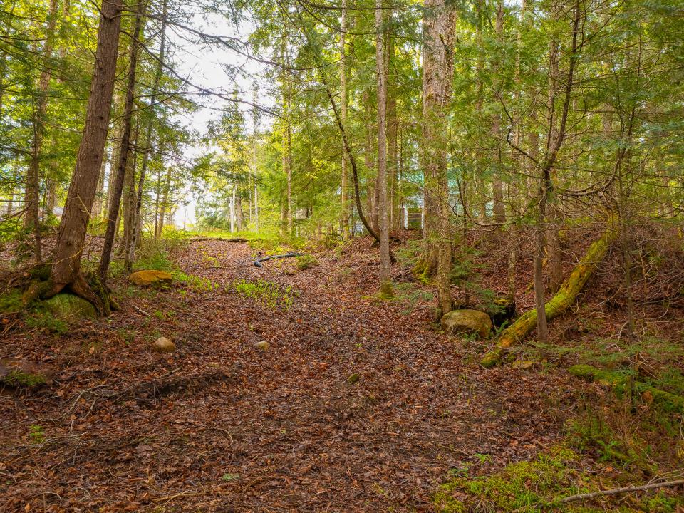 Mattison Family Trust-21