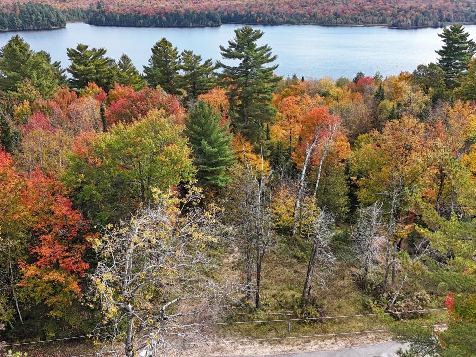 DJI_20241002115544_0055_D_Fotor