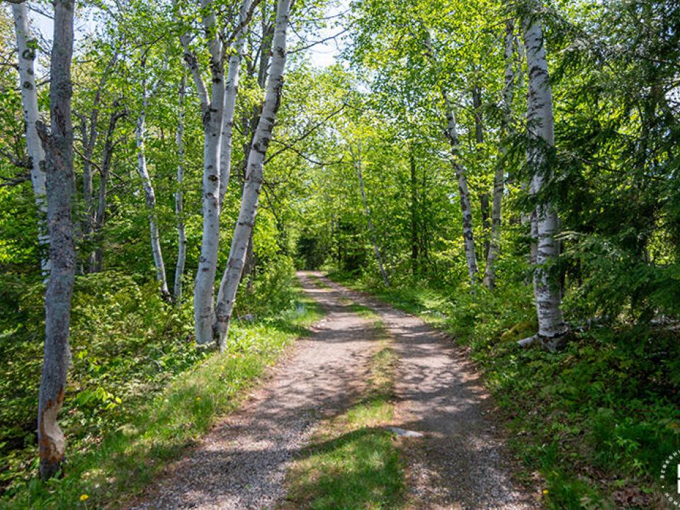 CampNorthwindOnChazyLake_Driveway