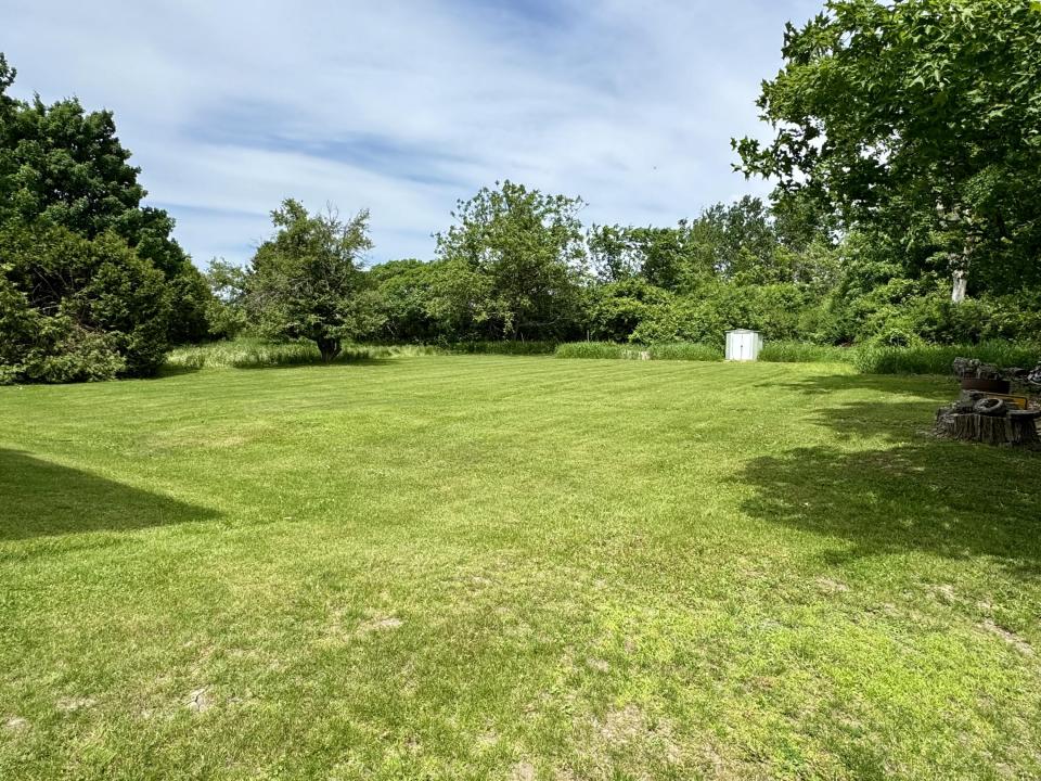 back yard