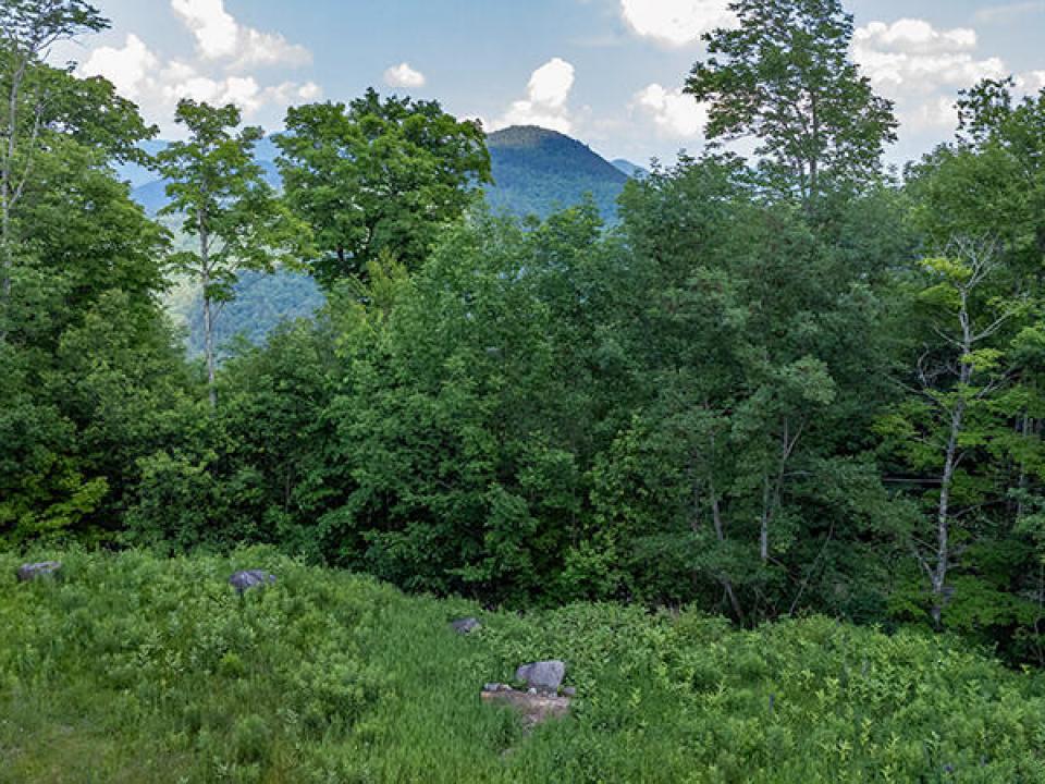 Lot14_18_On_Panorama_A_Lot_Low_Mtn