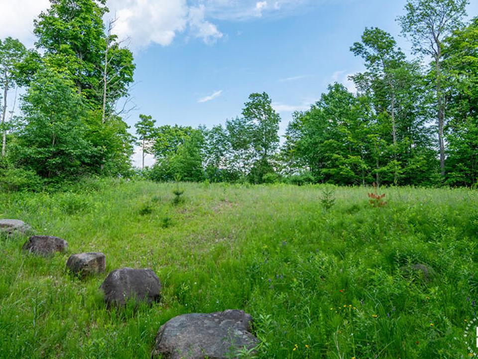 Lot14_18_On_Panorama_Lot_Cleared