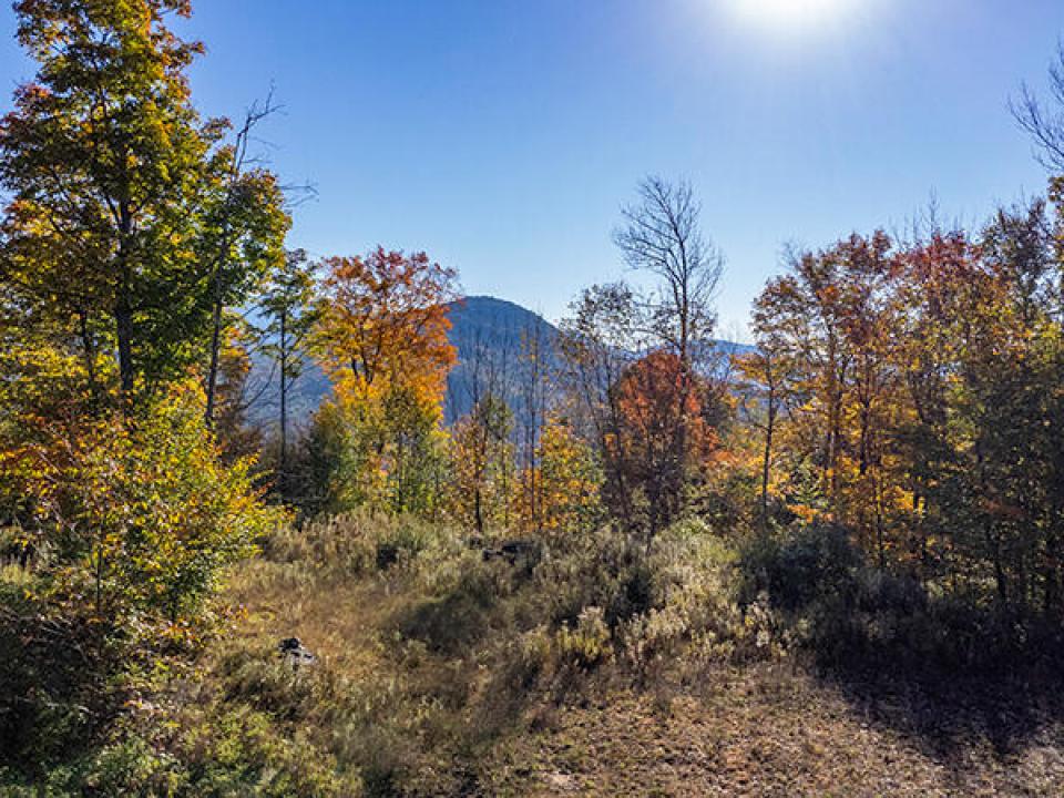 Lot1418OnPanorama_Fall_A_Lot_Low