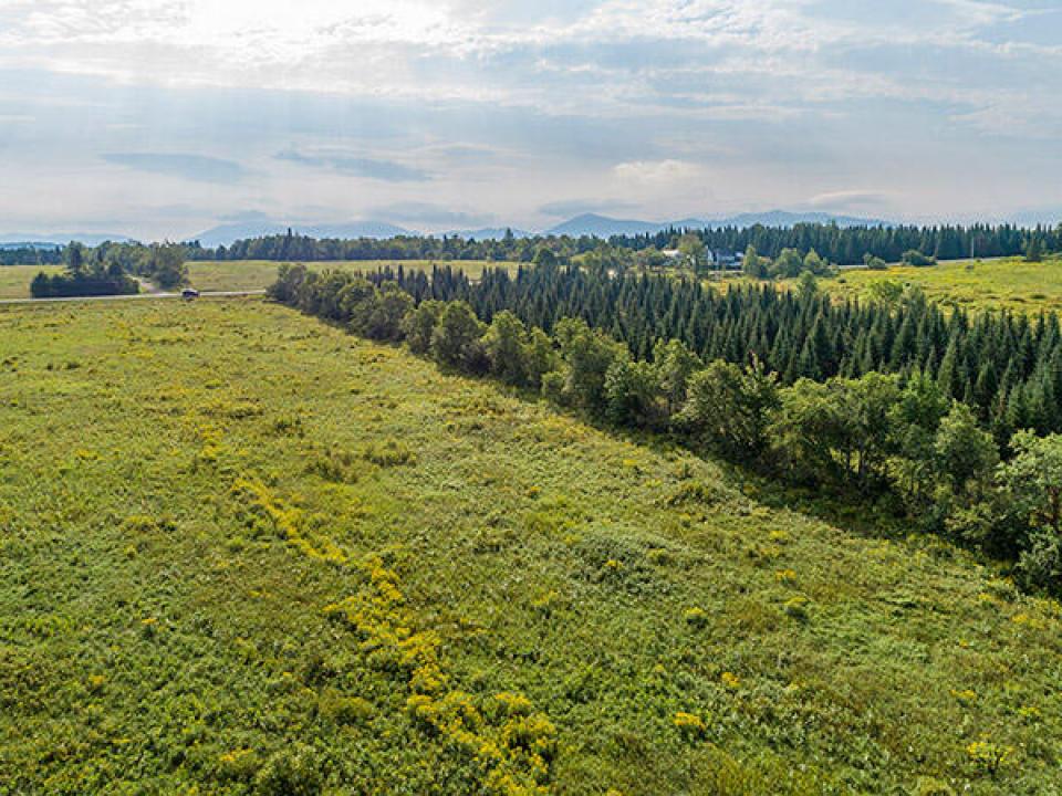 147_Private_Acres_In_Harrietstown_A_Lot_