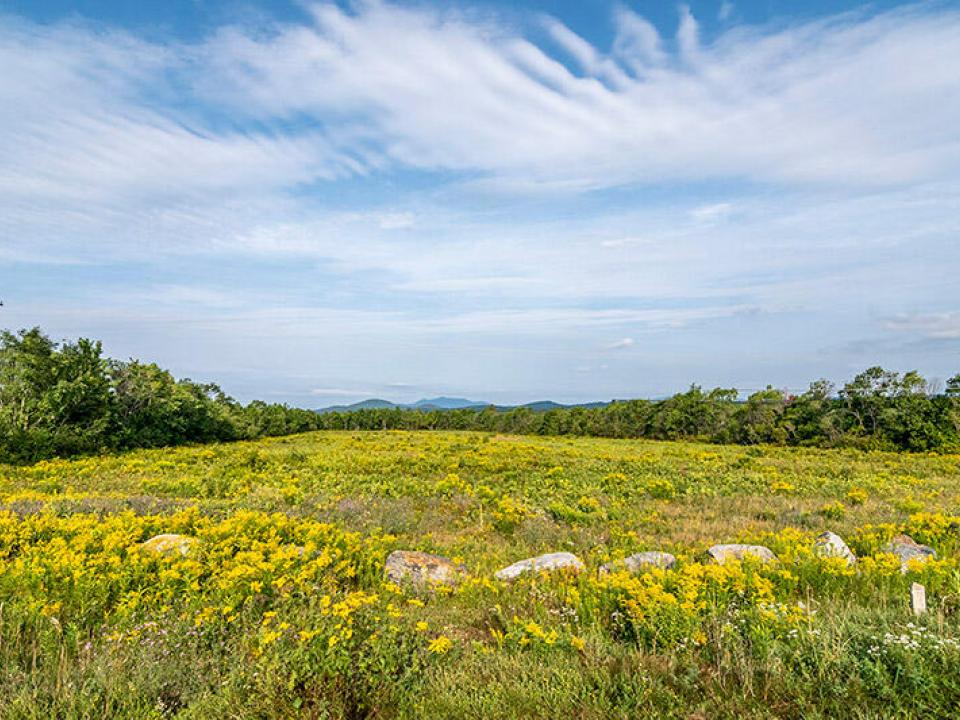 147_Private_Acres_In_Harrietstown_Lot